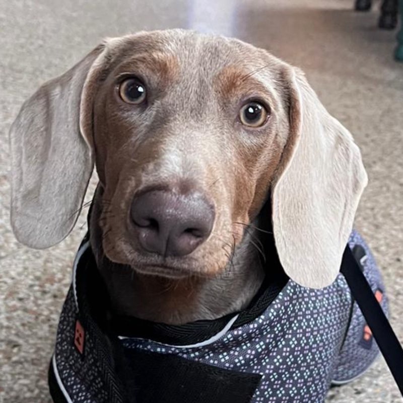 pablo profile