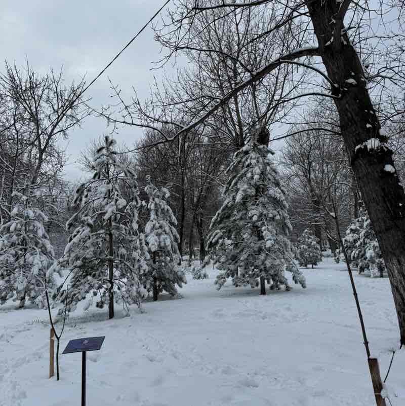 OT7⟭⟬⟬⟭ARMY 👑 ⁷ Leila  👑 post image