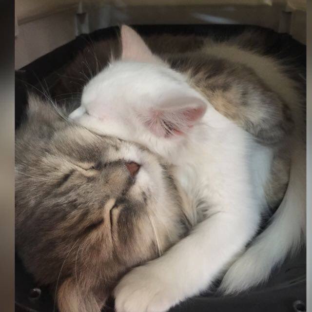 نحفت يابنات profile