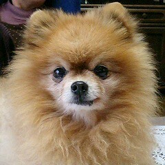 かみチャン🏃 profile