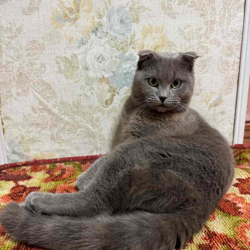 Дмитрий 🇬🇷 post 2