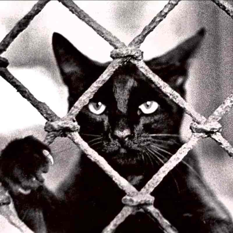 Дмитрий 🇬🇷 post 1