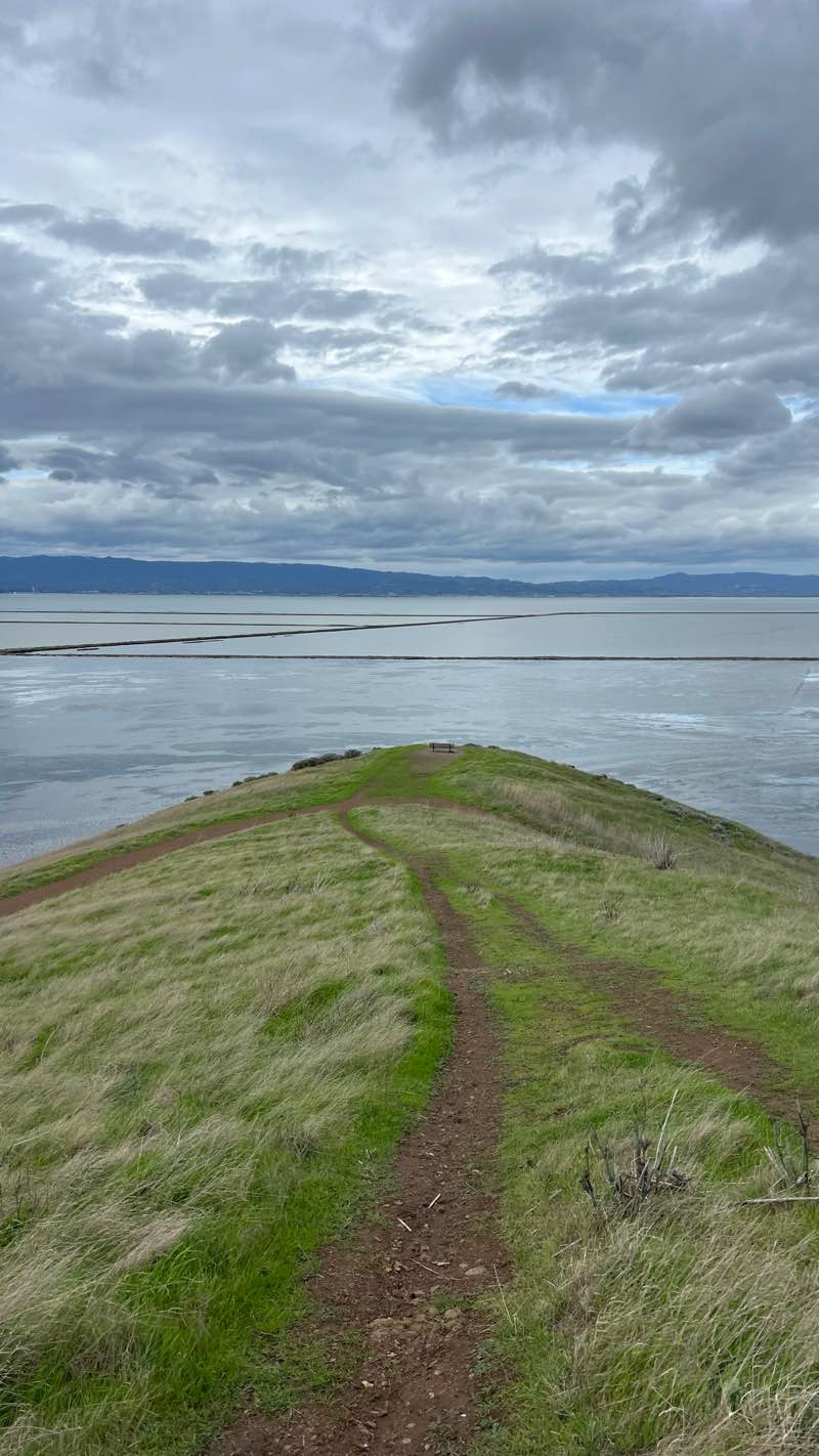 walking near me in Coyote Hills Regional Park in winter