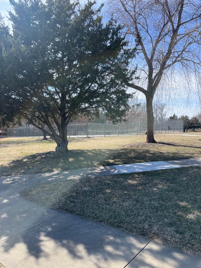 walking near me in Brookfield Park in winter