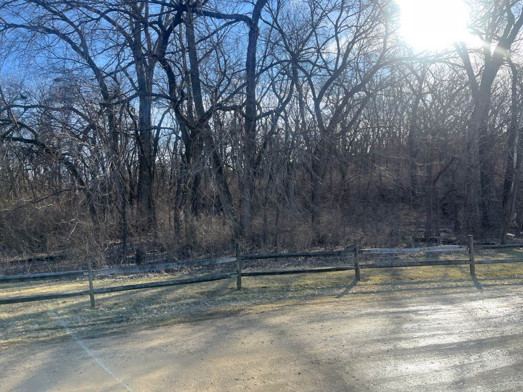 walking near me in Kaw River State Park in winter