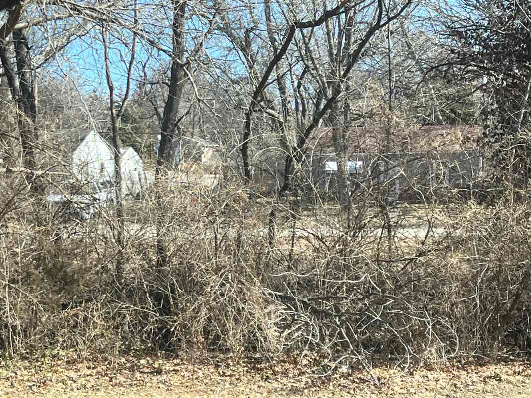 walking near me in Edgewater Parkway Park in winter