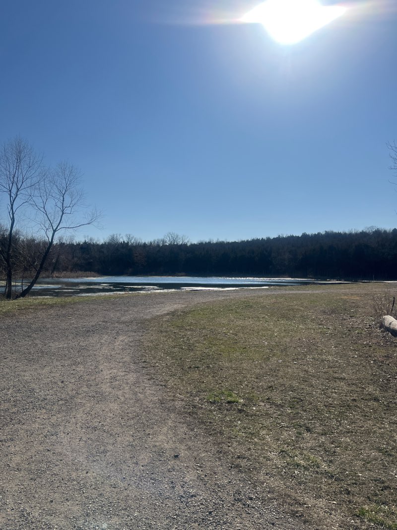 walking near me in Clarion Woods Park in winter