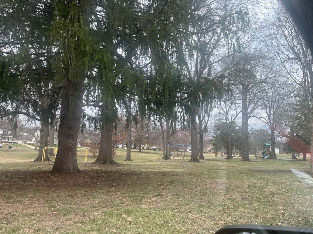 walking near me in Westboro Park in spring