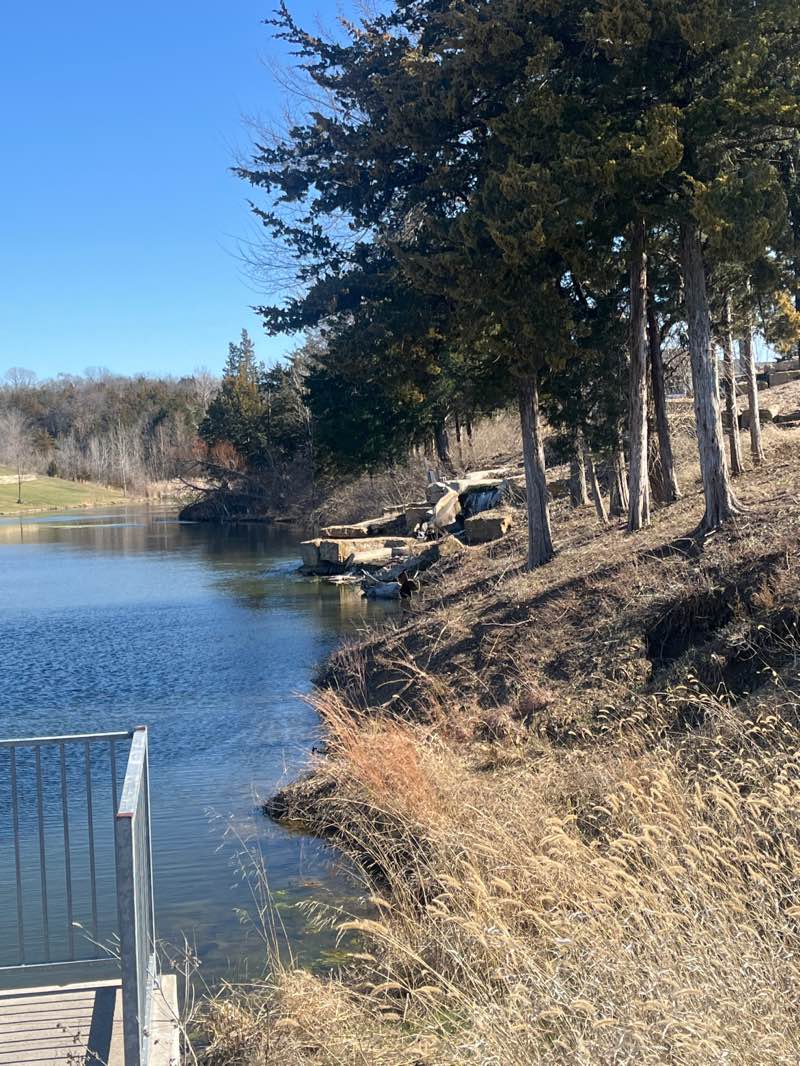 walking near me in Lauren's Bay Park in spring