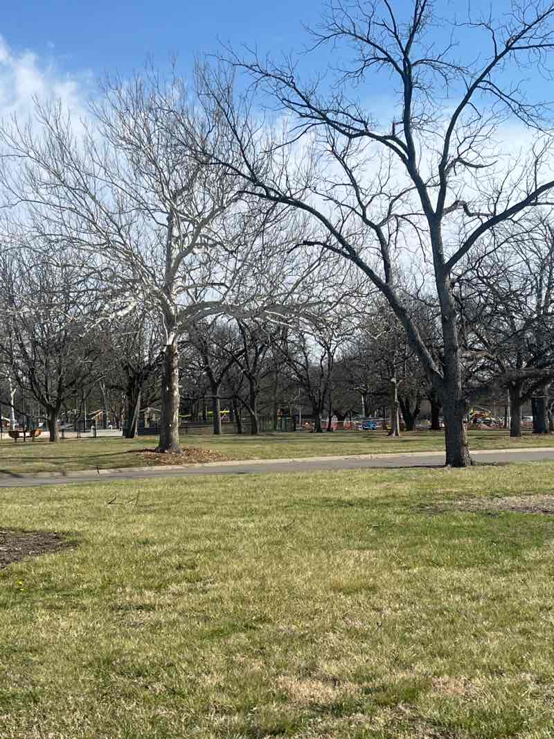 walking near me in Gage Park in spring