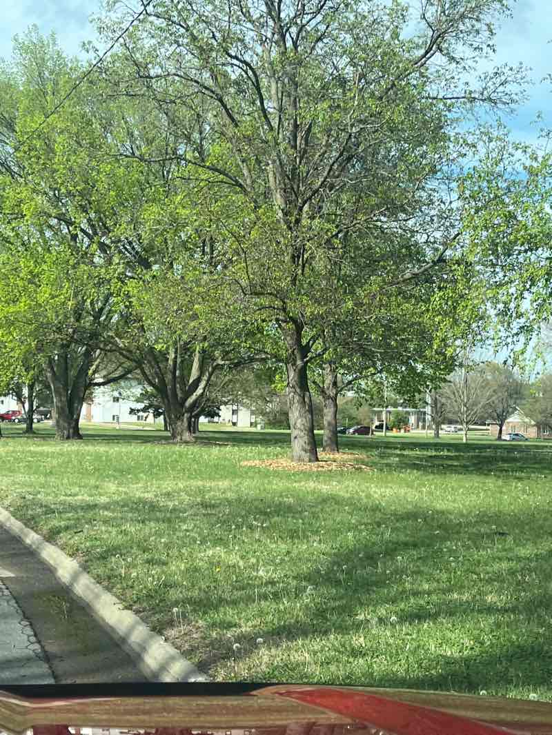 walking near me in Hillsdale Park in spring