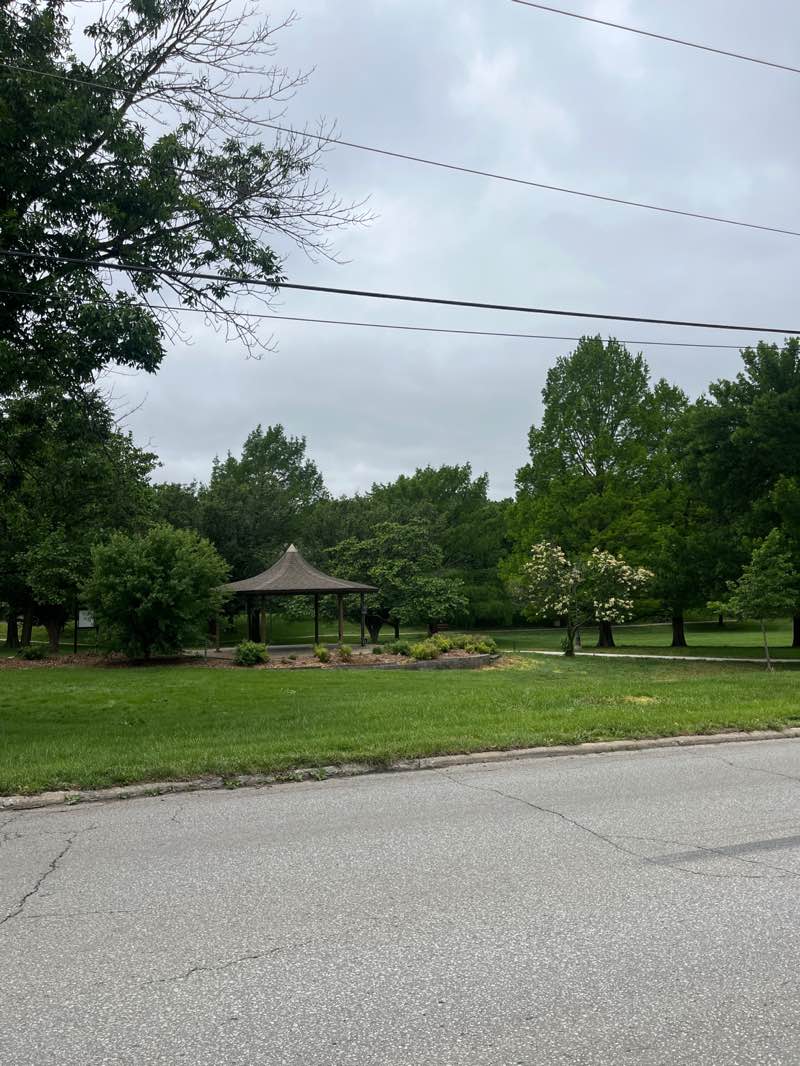 walking near me in Watson Park in summer
