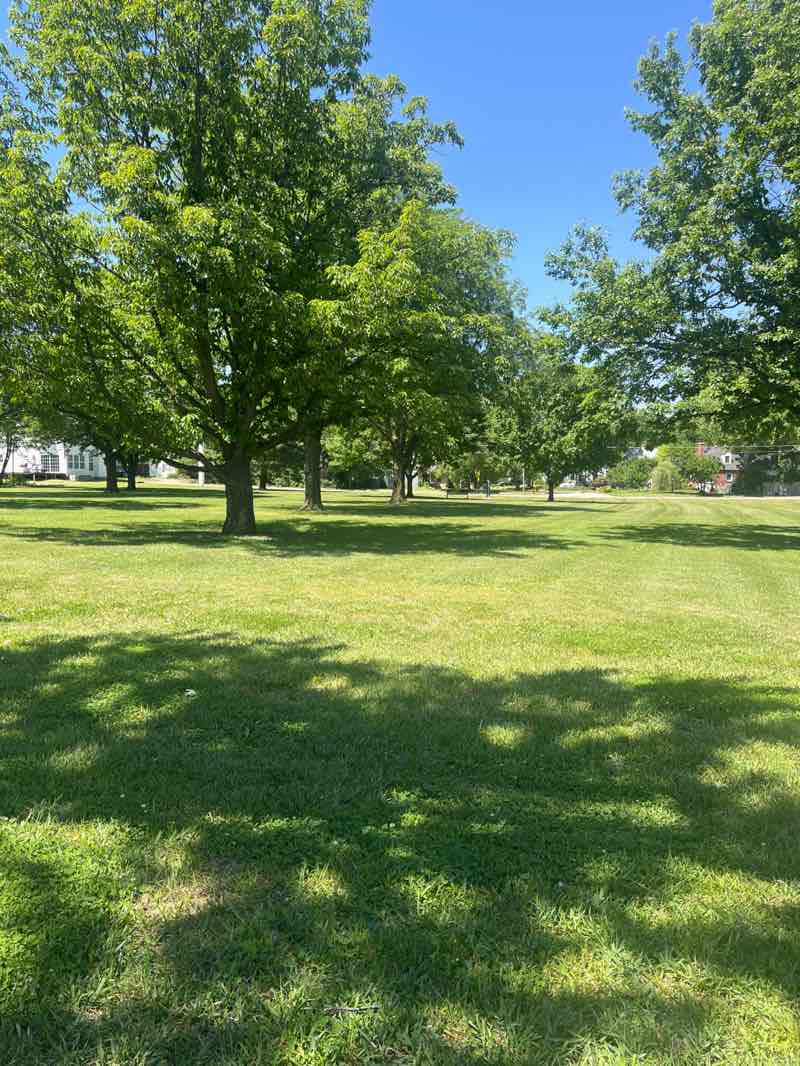walking near me in Romig Park in spring