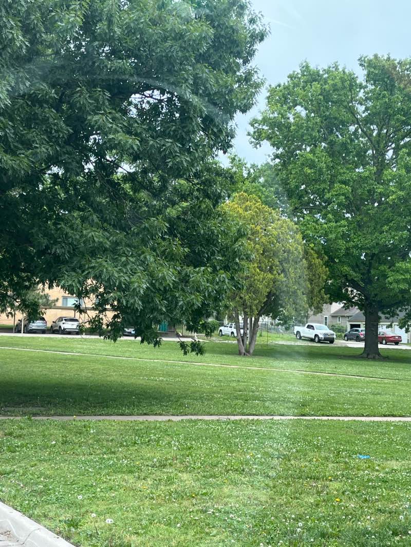 walking near me in Central Park in summer