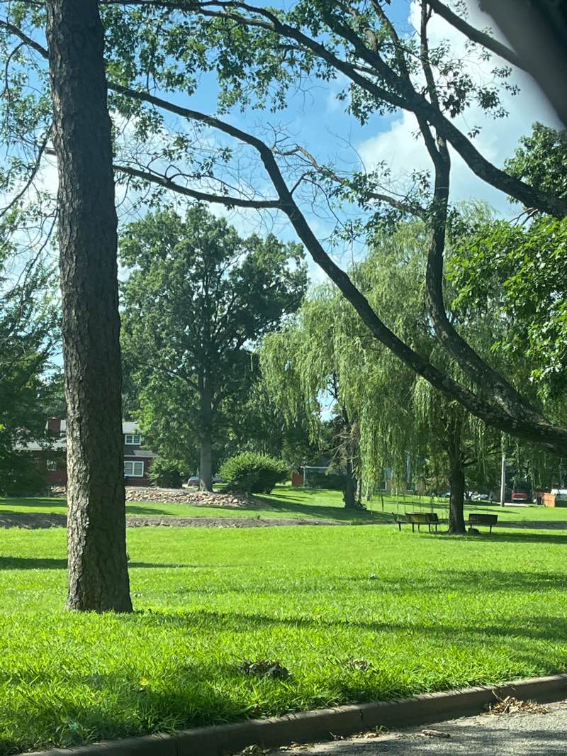 walking near me in Washburn Park in summer