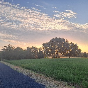 scripta_volant 🇺🇦🇺🇦 profile