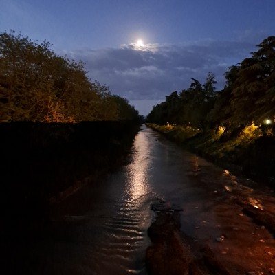 VIVERE❤️ scripta_volant 🇺🇦🇺🇦 post image