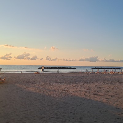 VIVERE❤️ scripta_volant 🇺🇦🇺🇦 post image