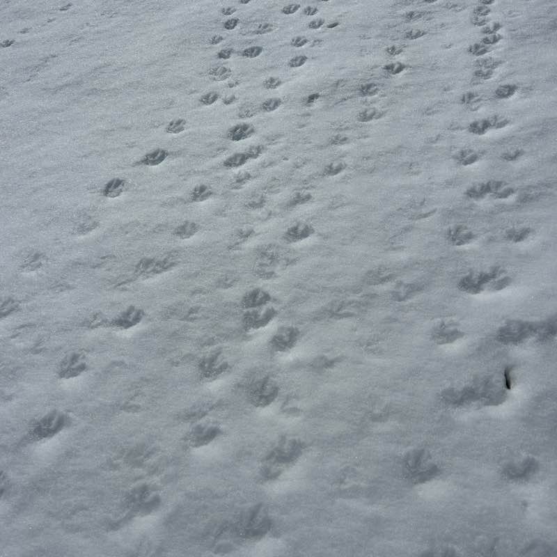 Maureen 🇺🇸😎☀️🏖 post 3