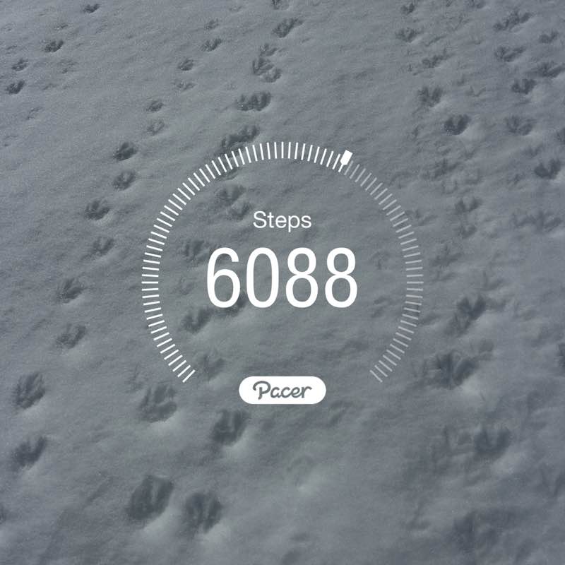 Maureen 🇺🇸😎☀️🏖 post 1