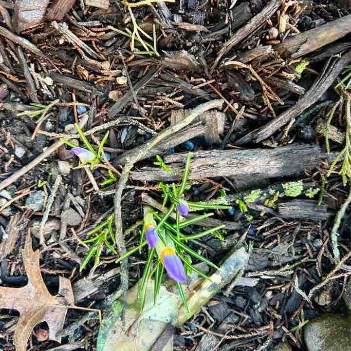 Maureen 🇺🇸😎☀️🏖 post 2