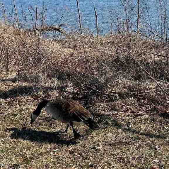 Maureen 🇺🇸😎☀️🏖 post 3