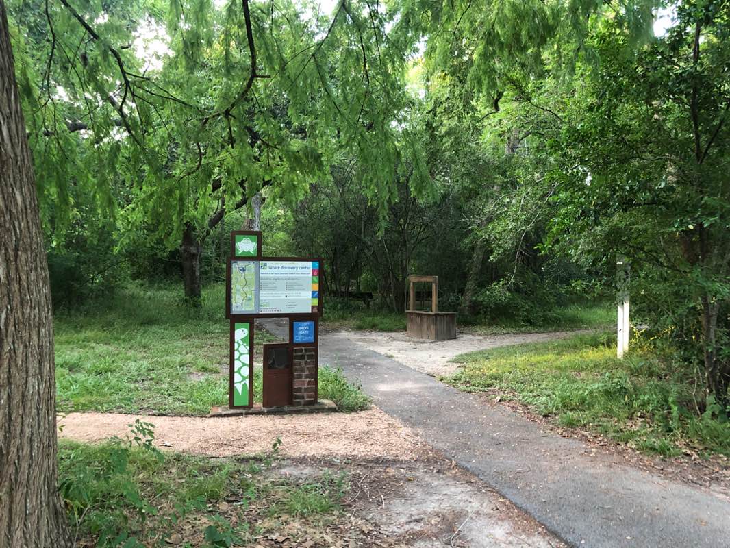 walking near me in Evergreen Park in autumn