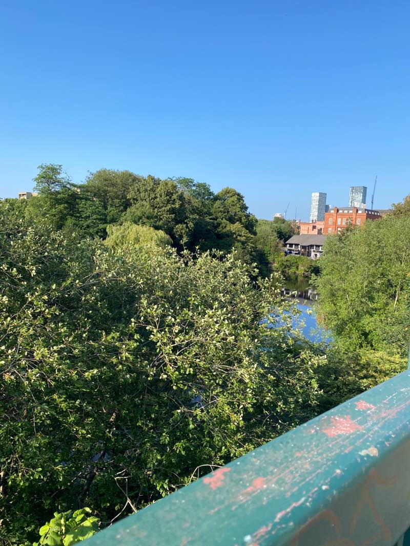 walking near me in Crescent Meadow in summer