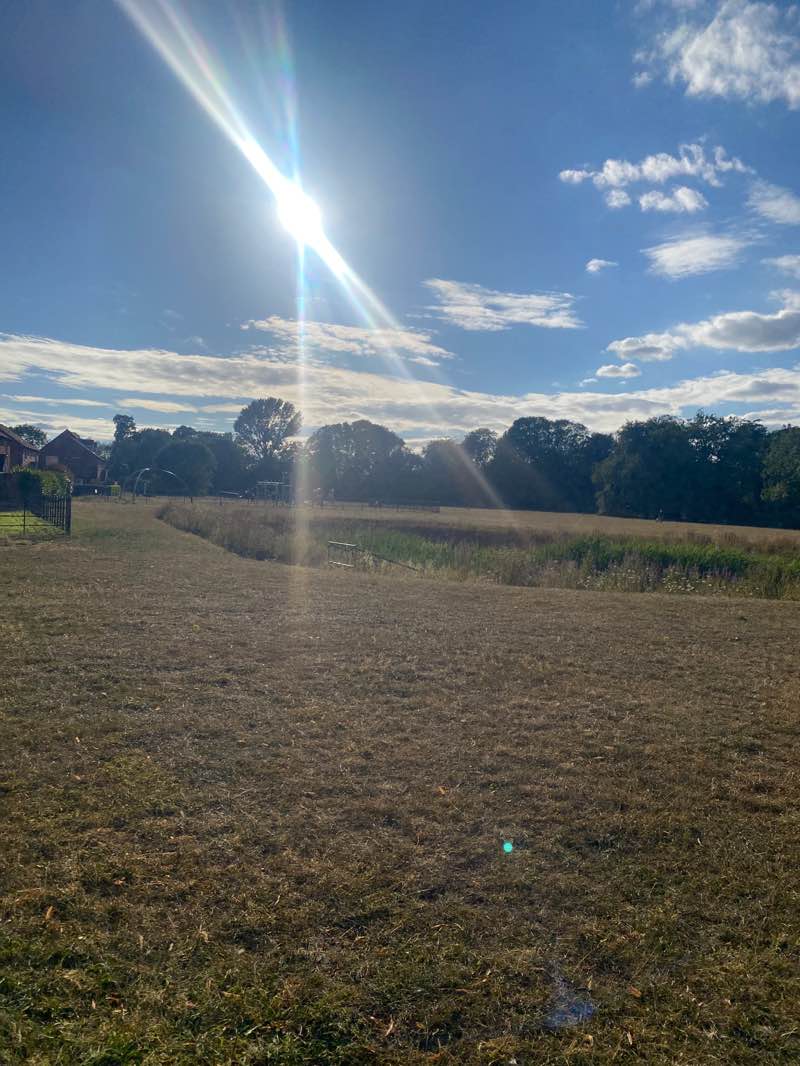 walking near me in Centenary Field in summer