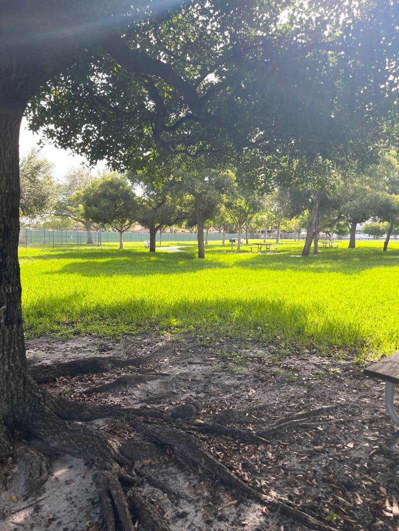 walking near me in Spanish Lake Park in summer