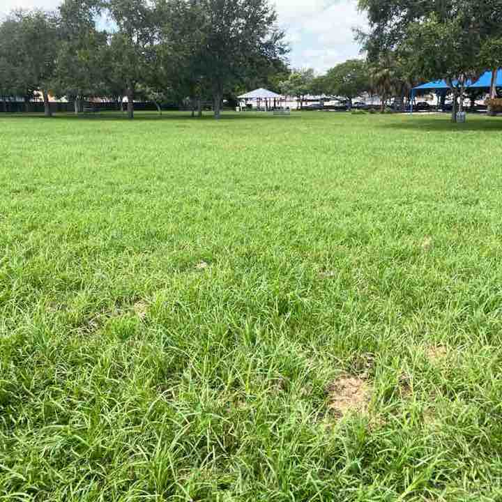 crittenhouse32 post 1