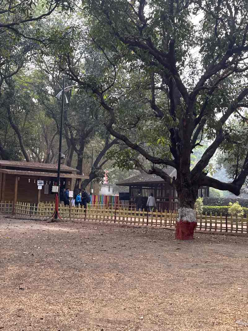 walking near me in Pu La Deshpande Udyan in winter