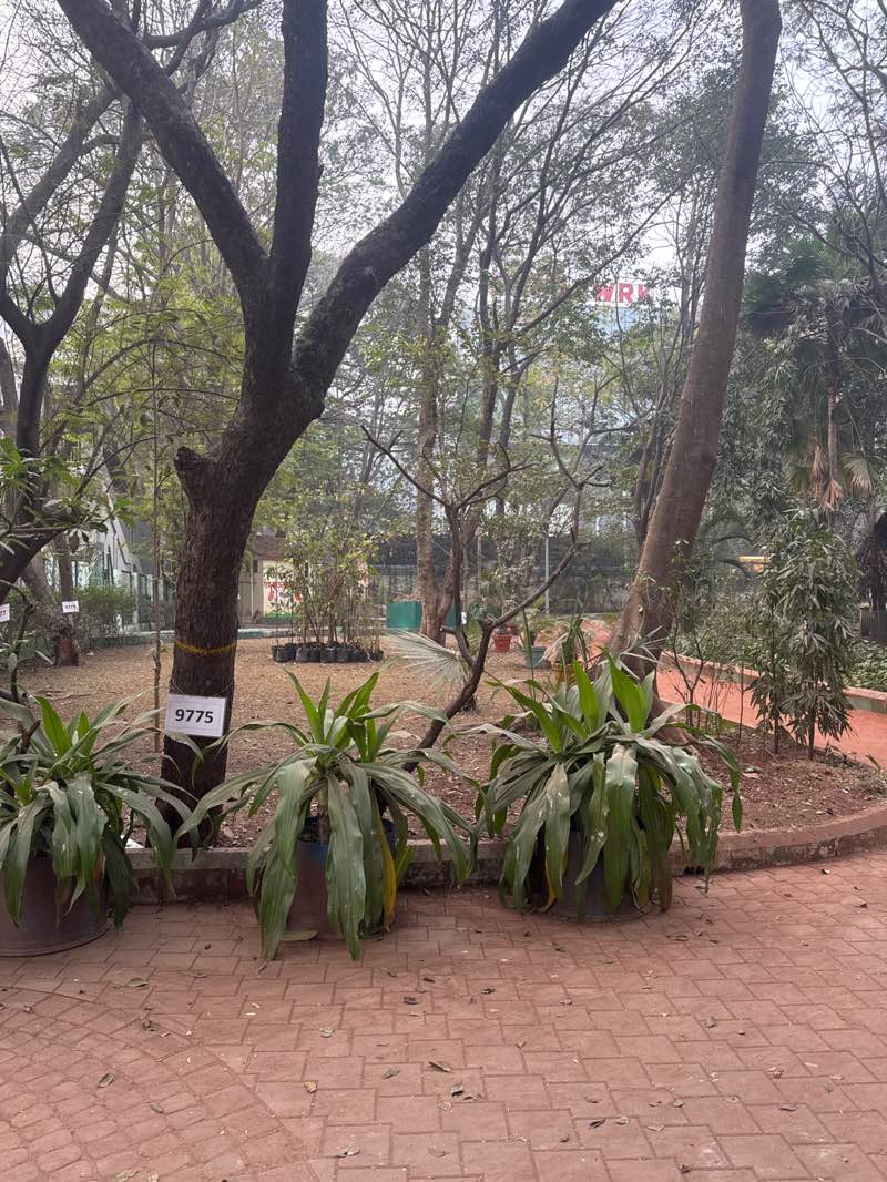 walking near me in Bund Garden in winter