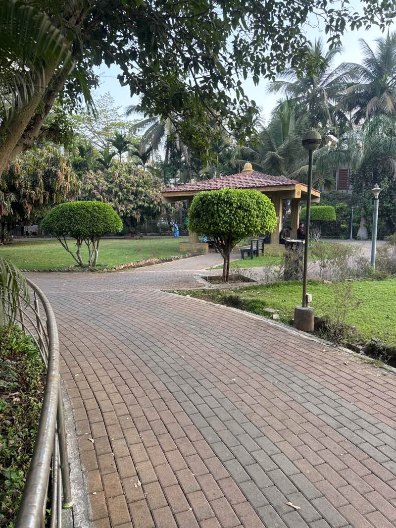 walking near me in Walvekar Garden in winter