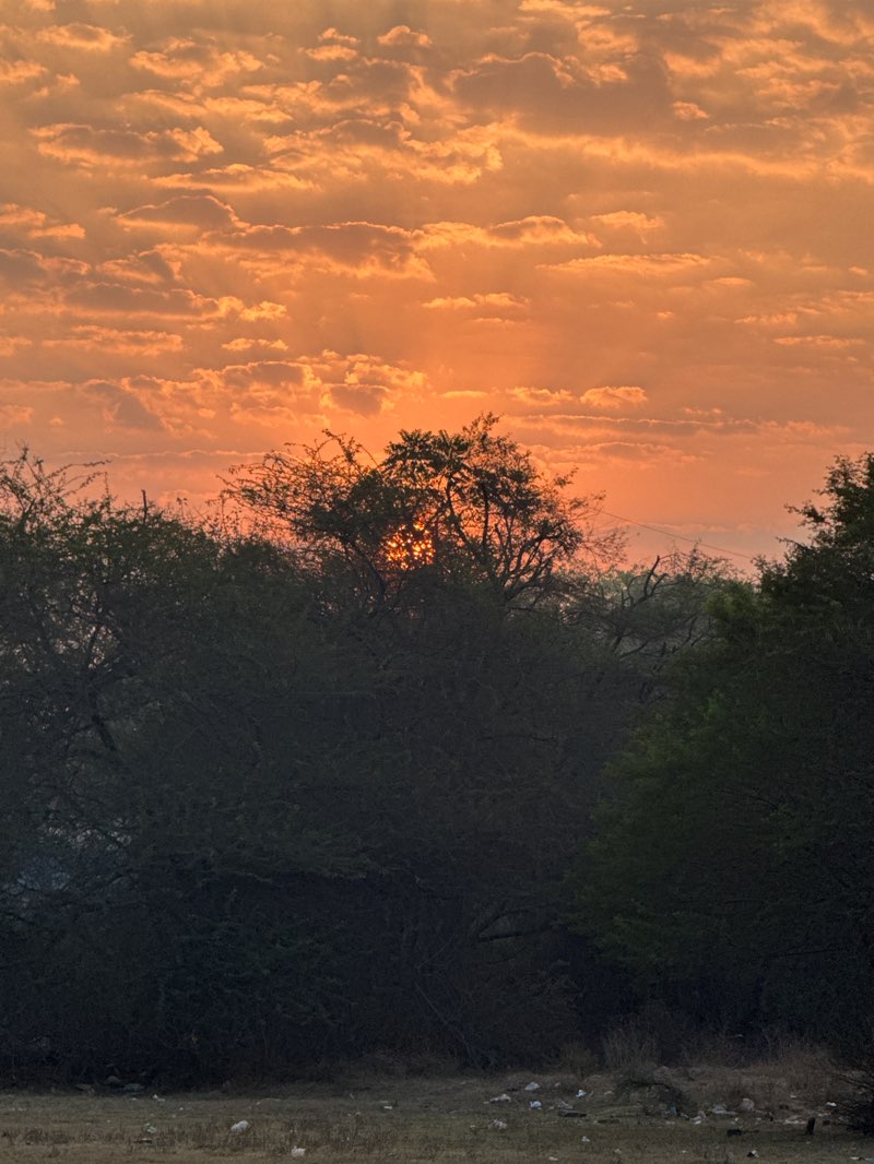 walking near me in Play Ground Park Near Queens Town in spring