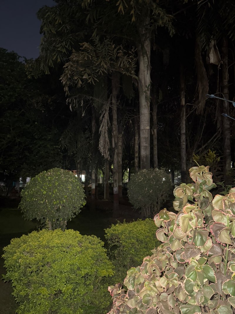 walking near me in Giriraj Housing Society Park in spring