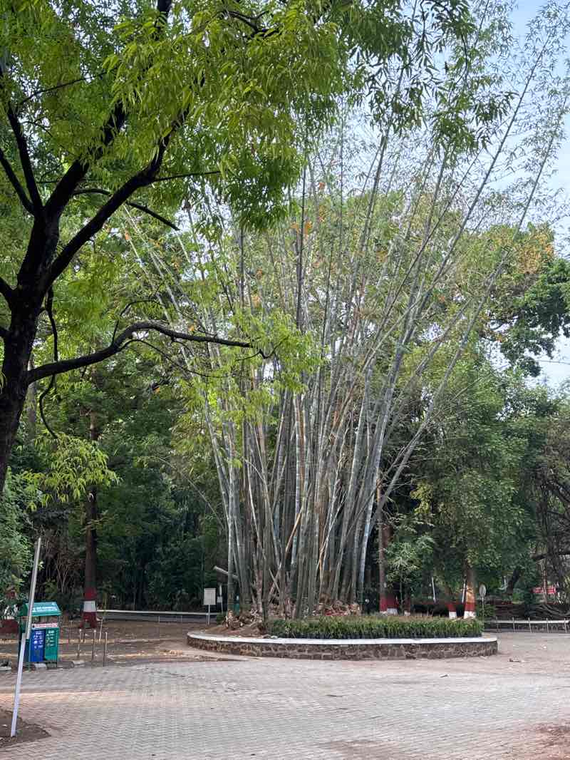 walking near me in Empress Botanical Garden in spring