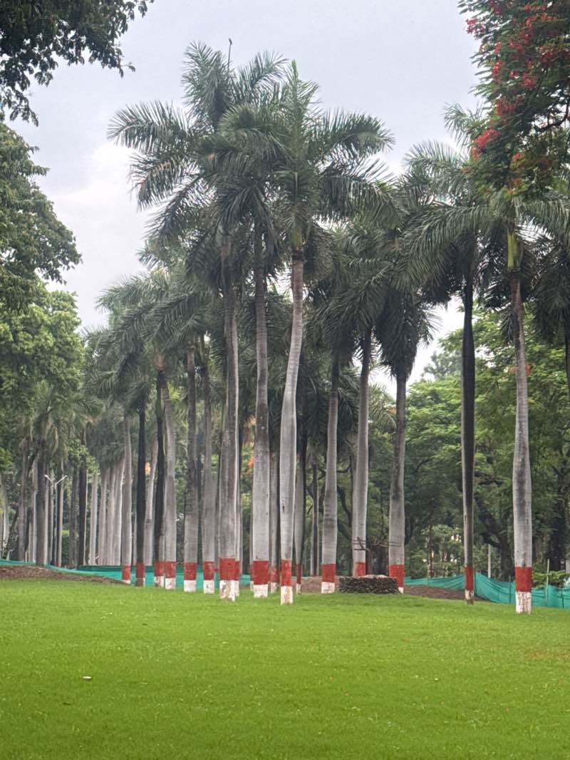 walking near me in Sambhaji Udyan in spring