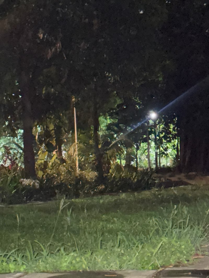 walking near me in Chatrapati Shivaji Maharaj Garden in summer