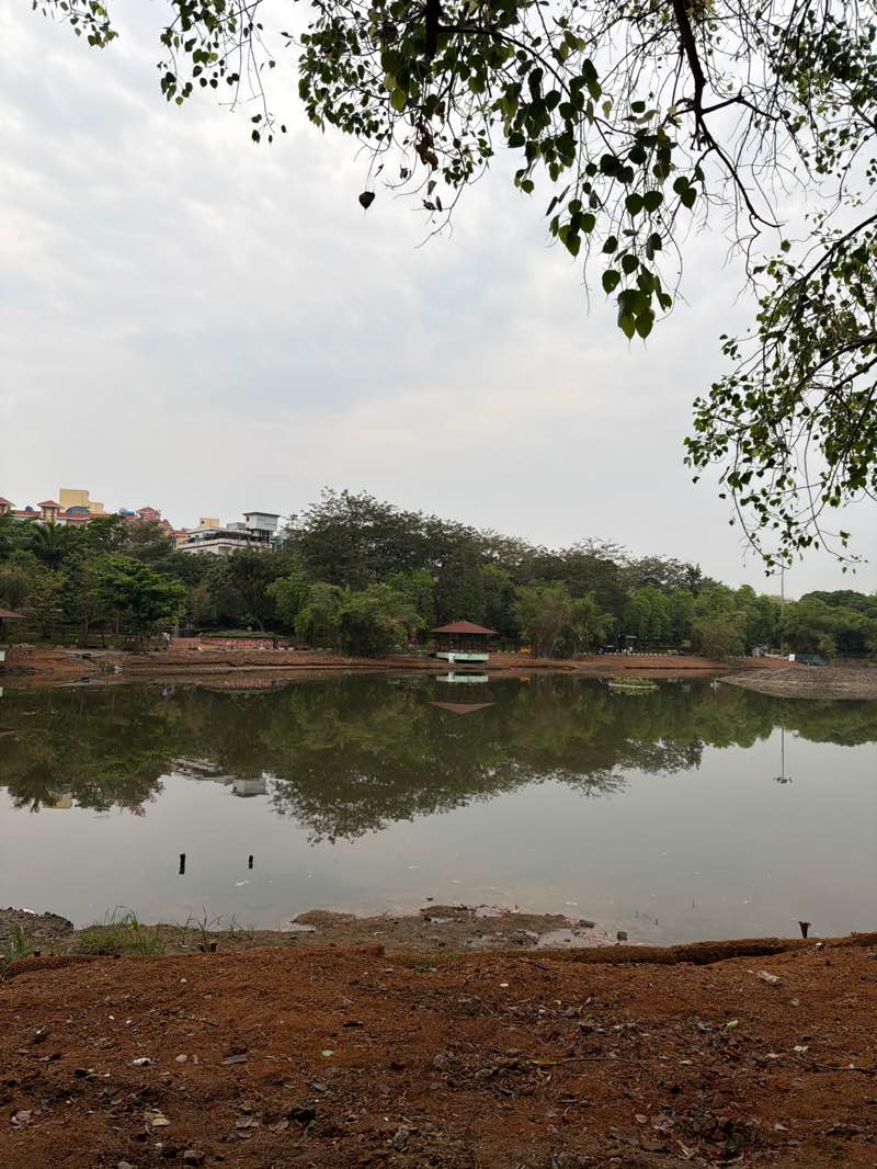 walking near me in Jalagam Vengal Rao Park in spring