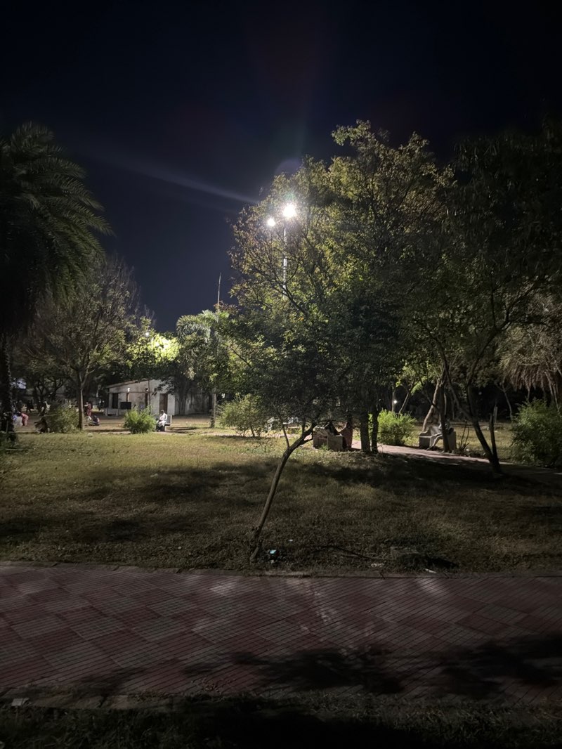 walking near me in Anna Park in spring
