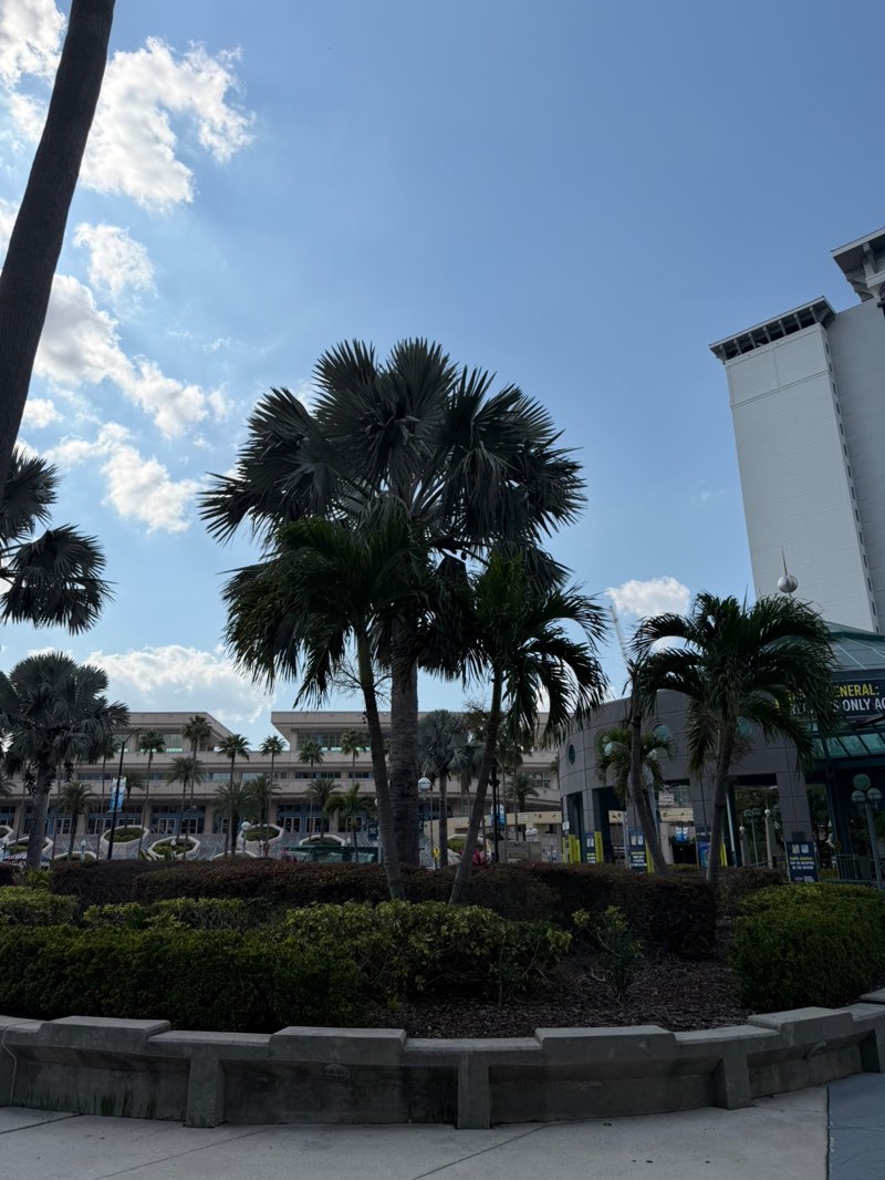 walking near me in Dick Greco Plaza in spring