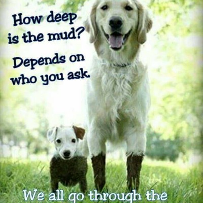 Barry 🚶‍♂️🚶‍♀️🚶🚶‍♂️🚶‍♀️🚶🚶‍♂️🚶‍♀️🚶 post 1