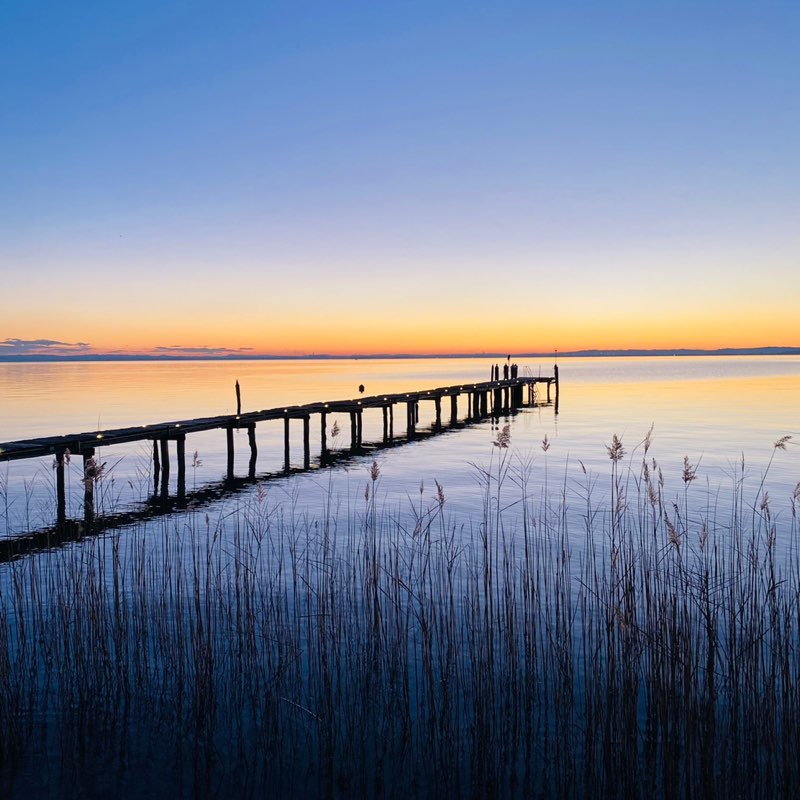 toni 🍀 🇮🇹 🇺🇦