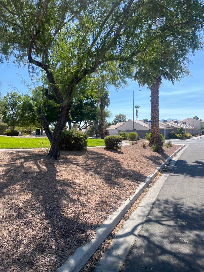walking near me in Silverwood Ranch Park in autumn