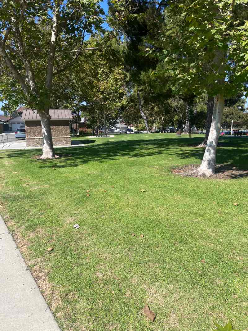 walking near me in Mountain View Park in autumn