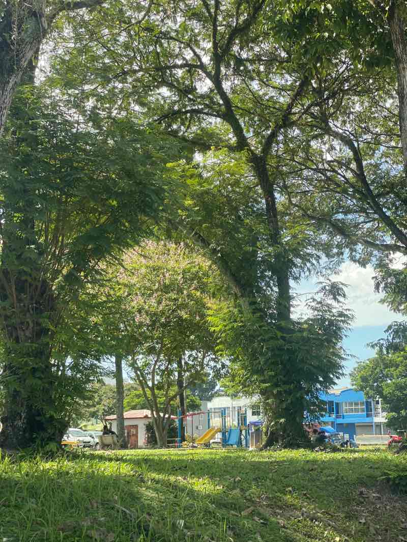 walking near me in Taman Rekreasi Kawasan Perindustrian Bukit Serdang in autumn