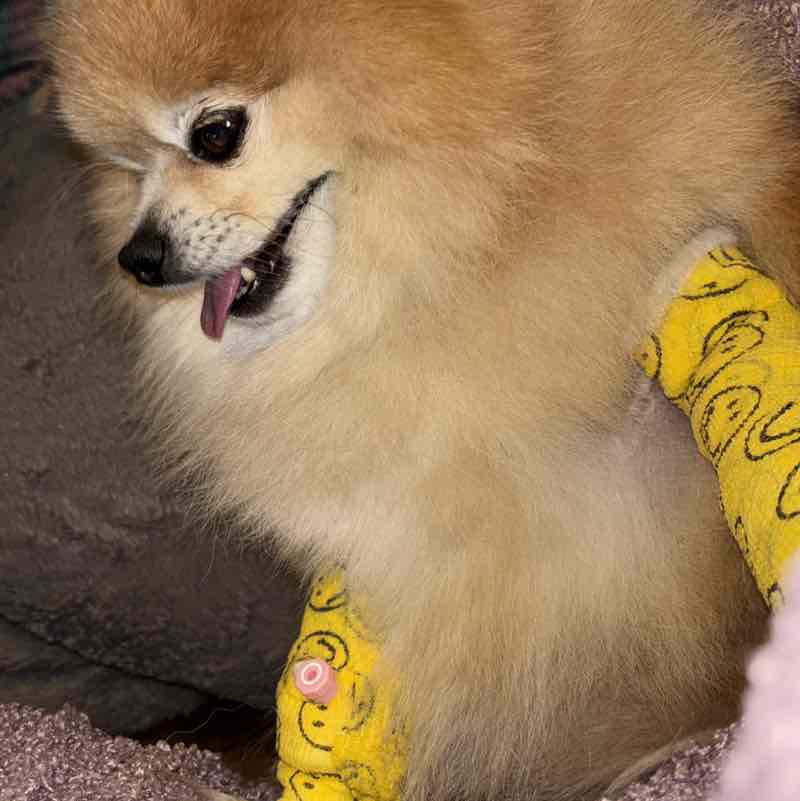 Lauffreunde Yvonne post image