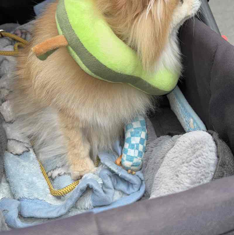 Lauffreunde Yvonne post image