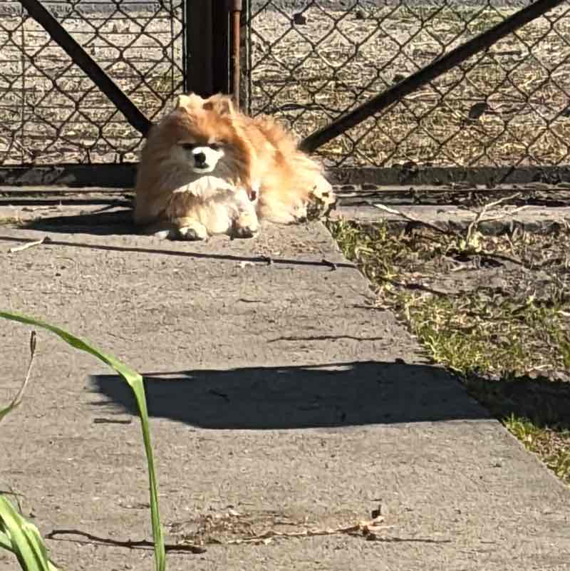 Lauffreunde Yvonne post image